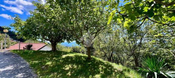 3 chambres Villa à Magliolo, Italy No. 359982 34