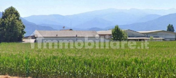 1348m² Warehouse in Cavour, Italy No. 143744 3