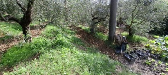 Casa de 3 habitaciónes en Collesalvetti, Italy No. 92519 4