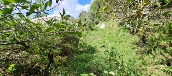 Casa de 3 habitaciónes en Collesalvetti, Italy No. 92519 27