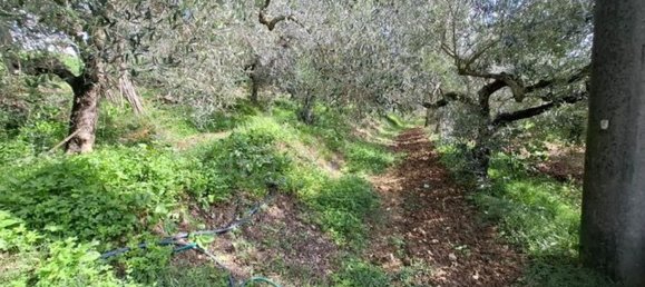 Casa de 3 habitaciónes en Collesalvetti, Italy No. 92519 29