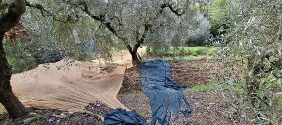 Casa de 3 habitaciónes en Collesalvetti, Italy No. 92519 35