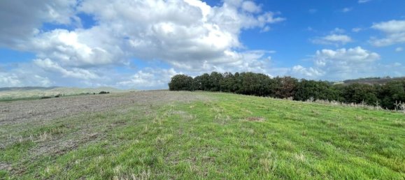  Land in Cerveteri, Italy No. 176661 7