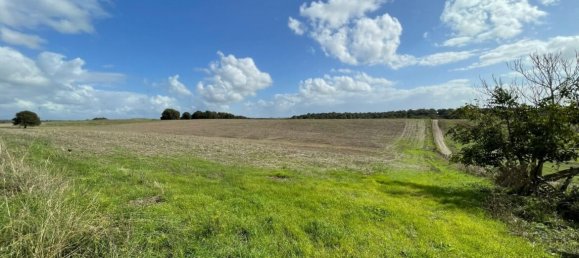  Land in Cerveteri, Italy No. 176661 3