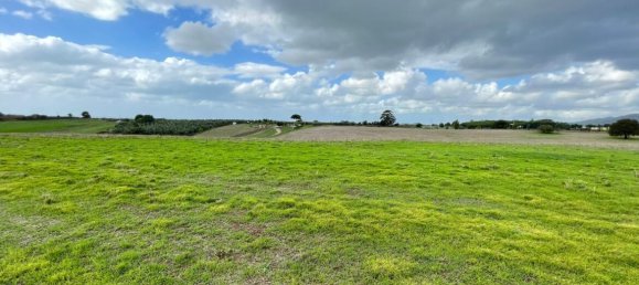  Land in Cerveteri, Italy No. 176661 8