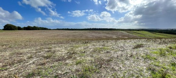  Land in Cerveteri, Italy No. 176661 4