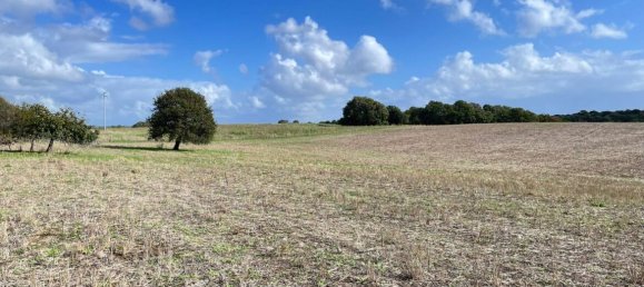  Land in Cerveteri, Italy No. 176661 6