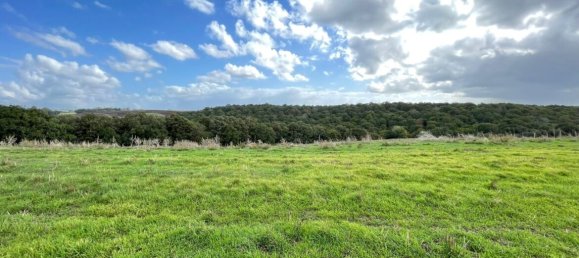  Land in Cerveteri, Italy No. 176661 5