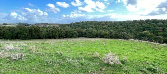  Land in Cerveteri, Italy No. 176661 12