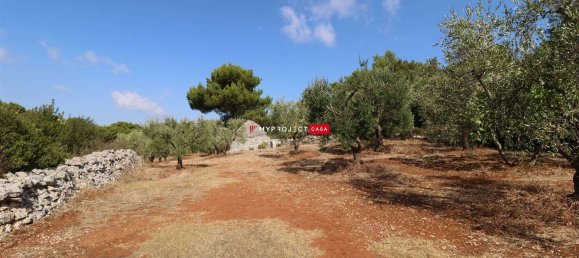 2غرفة منزل في Cisternino, Italy رقم 114295 3