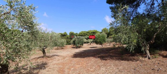 2غرفة منزل في Cisternino, Italy رقم 114295 6