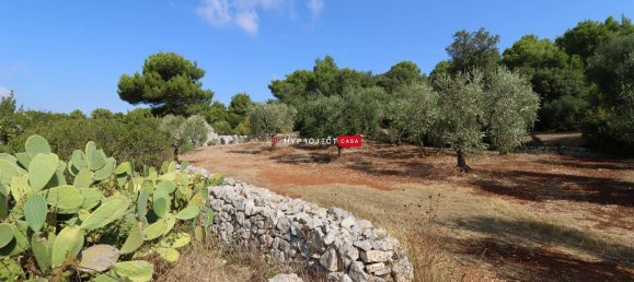 2غرفة منزل في Cisternino, Italy رقم 114295 2