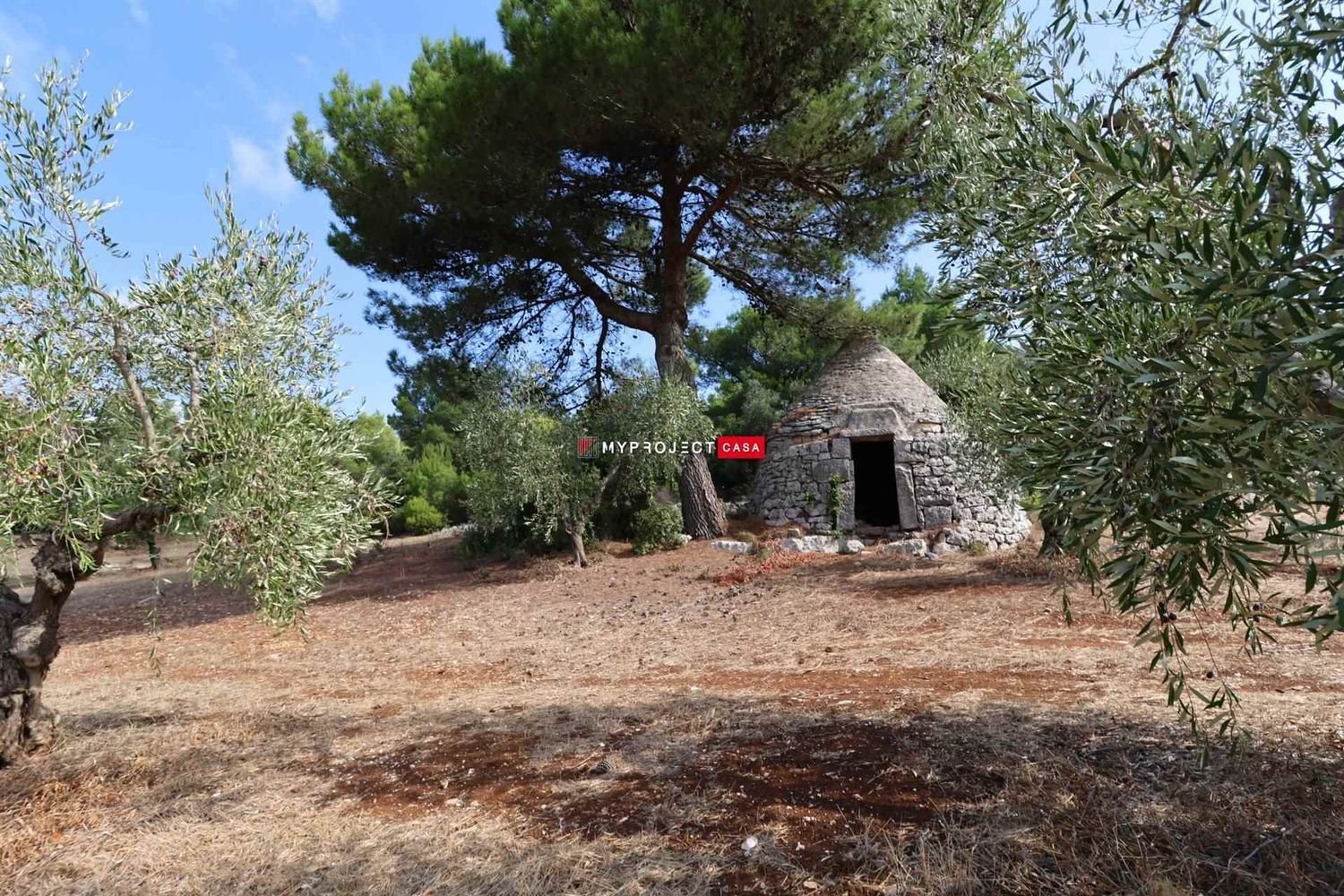 2غرفة منزل في Cisternino, Italy رقم 114295