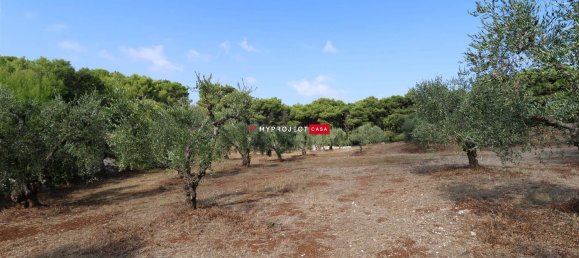 2غرفة منزل في Cisternino, Italy رقم 114295 5