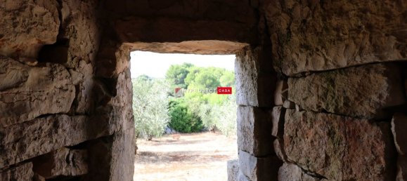 2غرفة منزل في Cisternino, Italy رقم 114295 9