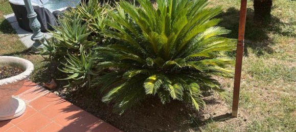 8-salle Maison à Carrara, Italy No. 48116 11