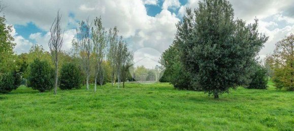 1 chambre Appartement à Rome, Italy No. 191124 5