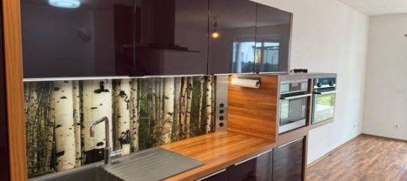 3 bedrooms Apartment in Kirchberg an der Pielach, Austria No. 203477 28