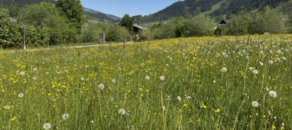 Terreno em Hopfgarten im Brixental, Austria N.º 129789 4