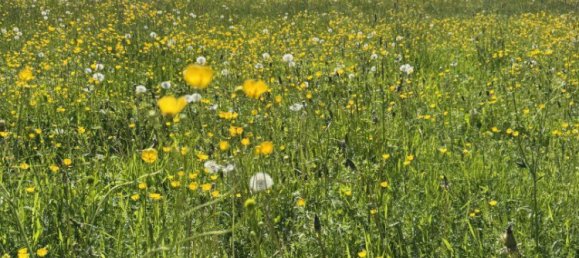 Terreno em Hopfgarten im Brixental, Austria N.º 129789 3