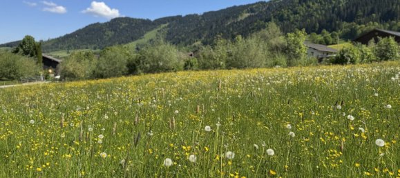 Terreno em Hopfgarten im Brixental, Austria N.º 129789 2