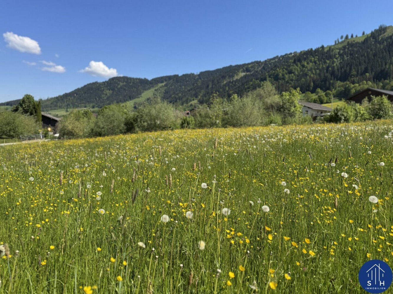 Terreno em Hopfgarten im Brixental, Austria N.º 129789