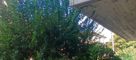 2 Schlafzimmer Wohnung in Reggio Emilia, Italy, Nr. 378777 31