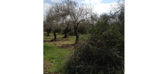 8247m² Land in Alghero, Italy No. 254413 3