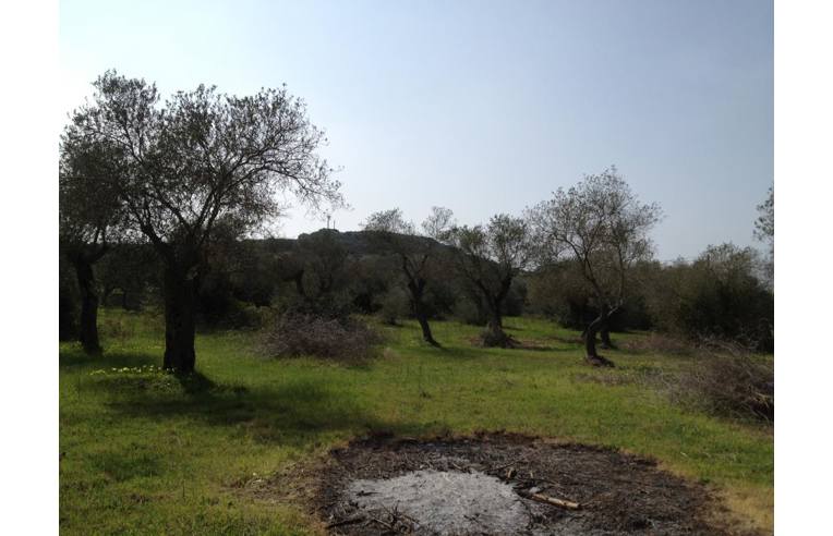 8247m² Land in Alghero, Italy No. 254413