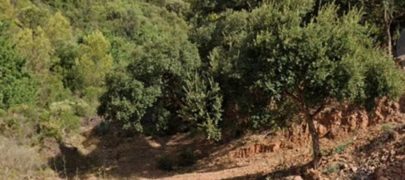  Land in Marbella, Spain No. 129806 5