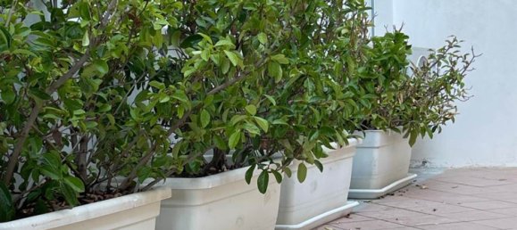 Квартира с 2 спальнями в Агридженто, Италия № 282779 16