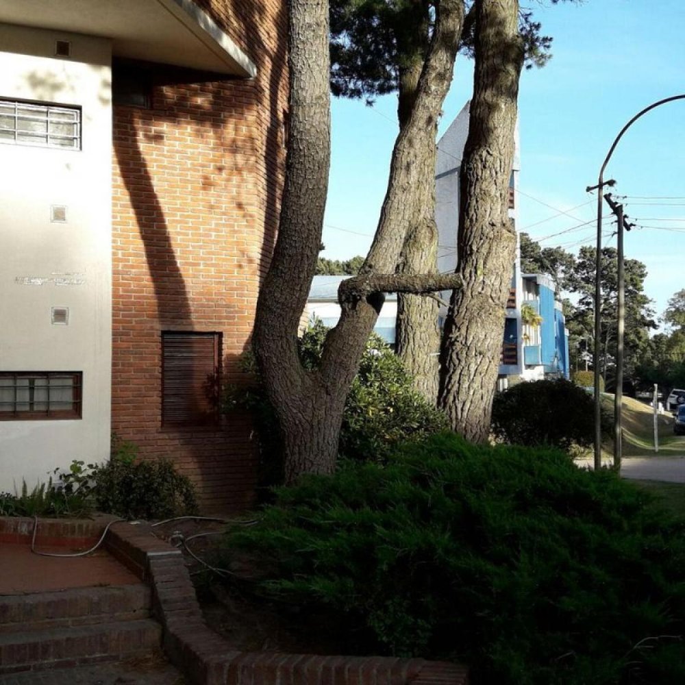 2 bedrooms Apartment in Mar del Plata, Argentina No. 79799