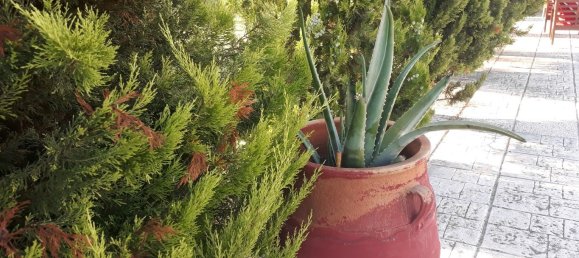 6 bedrooms Commercial property in Chalkidiki, Greece No. 5187 22