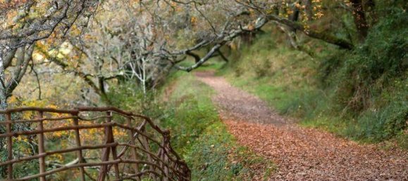 Terreno en Sintra, Portugal 1761 m² No. 135693 15