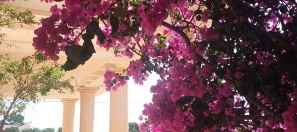 4 bedrooms House in Mutxamel, Spain No. 109628 16