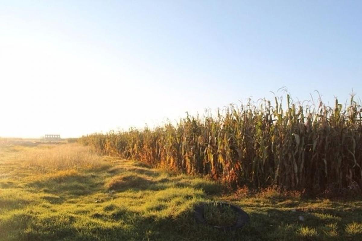 Terreno en Mexico No. 203623