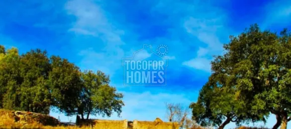 19 chambres Châteaux à Crato, Portugal No. 132397 36