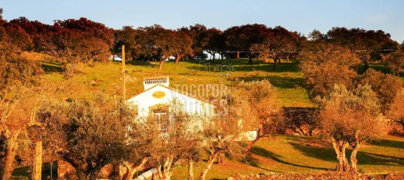 19 chambres Châteaux à Crato, Portugal No. 132397 30