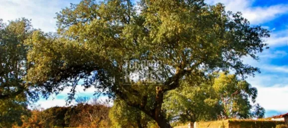 19 chambres Châteaux à Crato, Portugal No. 132397 37