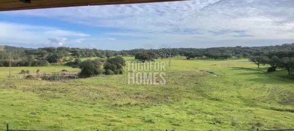 19 chambres Châteaux à Crato, Portugal No. 132397 28