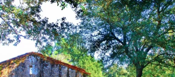 19 chambres Châteaux à Crato, Portugal No. 132397 35