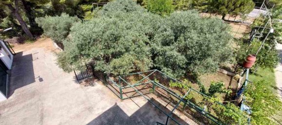 Коммерческая недвижимость 160м² в Халкидики, Центральная Македония, Македония и Фракия, Греция № 52244 14