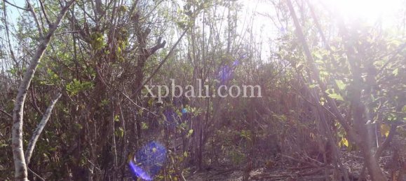 600m² Land in South Kuta, Indonesia No. 4122 15