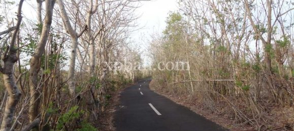 600m² Land in South Kuta, Indonesia No. 4122 17