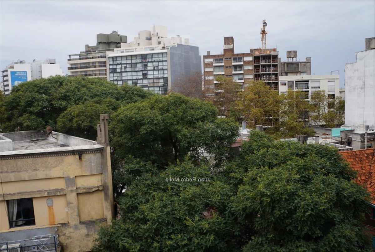 Studio in Montevideo, Uruguay No. 2176
