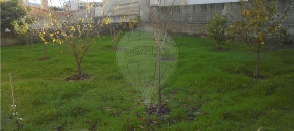 4 bedrooms House in Valpacos, Portugal No. 19484 26