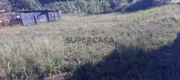 Grundstück in Sangalhos, Portugal, Nr. 165891 10