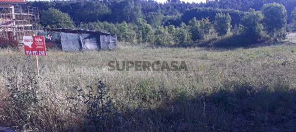 Grundstück in Sangalhos, Portugal, Nr. 165891 5