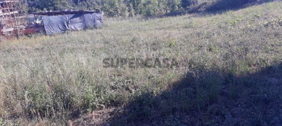 Grundstück in Sangalhos, Portugal, Nr. 165891 6