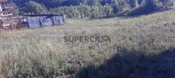 Grundstück in Sangalhos, Portugal, Nr. 165891 9